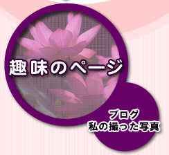 uO@̎Bʐ^