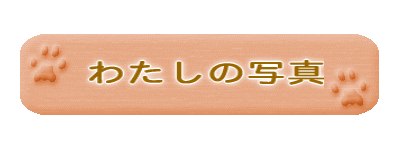 �ｽo�ｽi�ｽ[